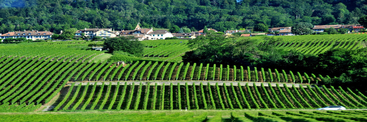 瑞士洛桑城市一日游线路推荐-【瑞士省钱游攻略】