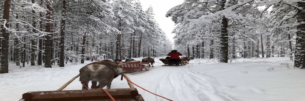 芬兰奥卢旅游线路推荐(亲子游好去处)-【芬兰穷游攻略】