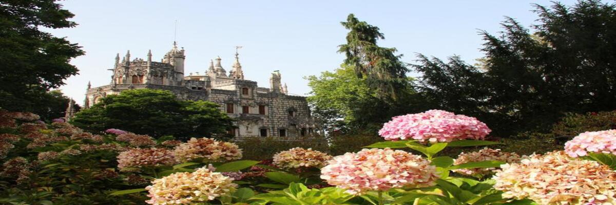 辛特拉村庄里的传统茶坊：A RAPOSA