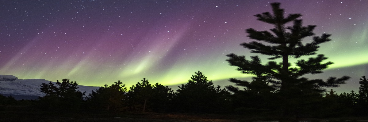 北挪威地区(芬马克郡)冬季旅游新玩法-【挪威省钱游攻略】