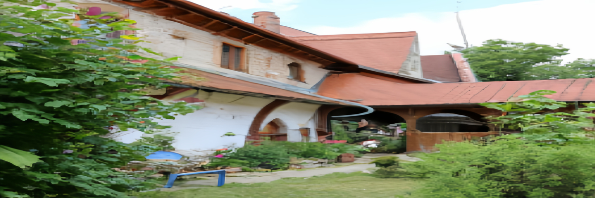 一起去波兰Zywkowo村庄看鹤-【波兰省钱游攻略】