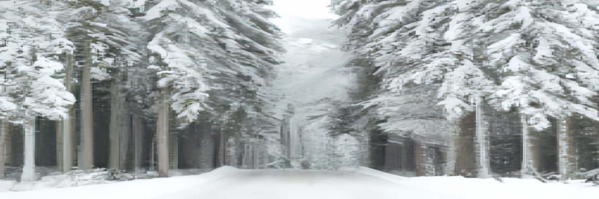 瑞典森林冬天图片大全_瑞典冬季景观图片欣赏-【瑞典摄影攻略】