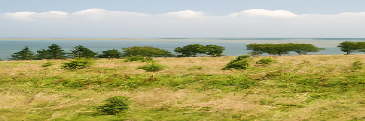 瑞典厄兰岛好玩吗?厄兰岛景点推荐-【瑞典自由行攻略】