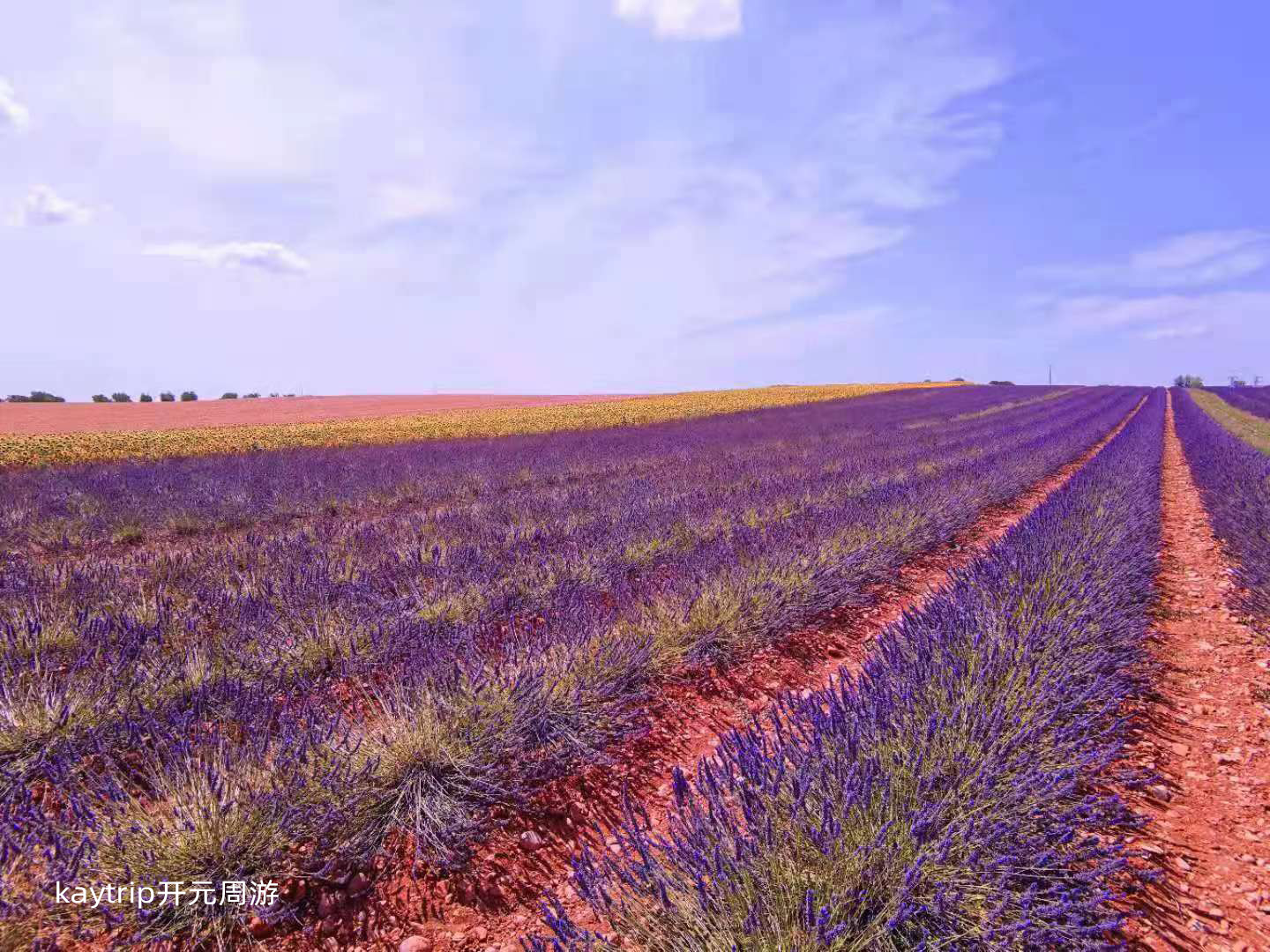 普罗旺斯旅游攻略