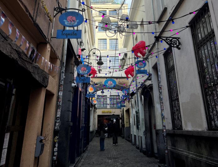 比利时旅游全攻略：探索历史与风情的奇妙国度